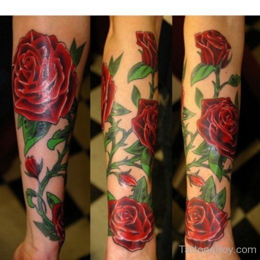 Beautiful Red Roses Tattoo--TB111