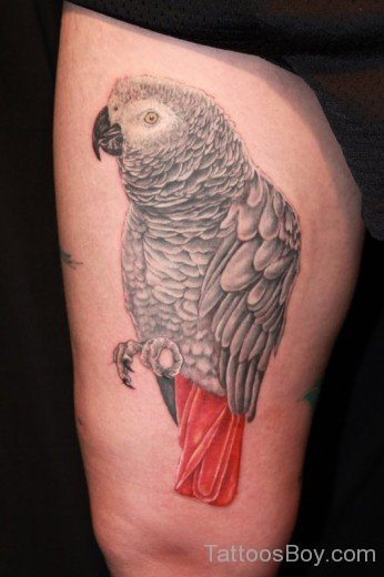 Bird Tattoo On  Thigh-TB1058
