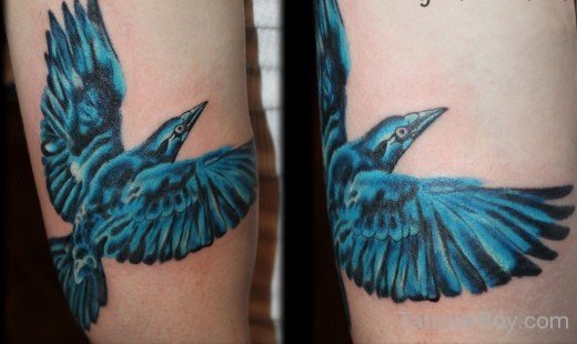 Blue Crow Tattoo-TB1025