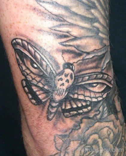 Buttefly Tattoo-TB1419