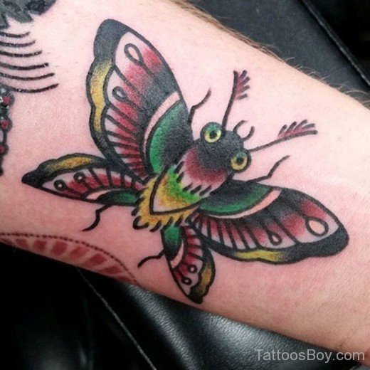 Butterfly Tattoo-TB12065