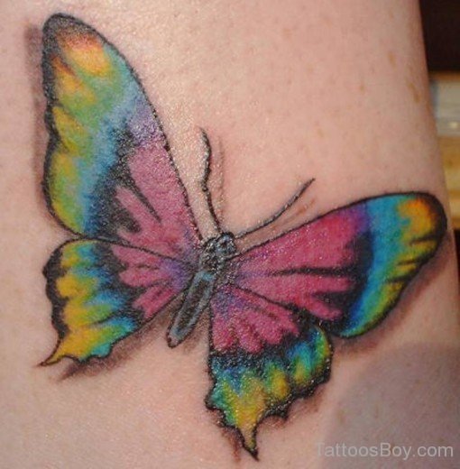 Butterfly tattoo design-TB12030