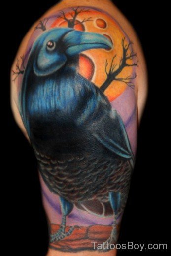 Colored Crow Tattoo On Shoulder-TB1029