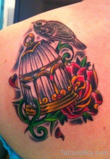 Colorful Bird Cage Tattoo-TB12064