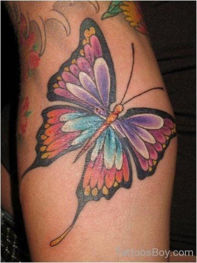 Colorful Butterfly Tattoo-TB12036
