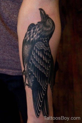 Crow Bird Tattoo On Arm-TB1040