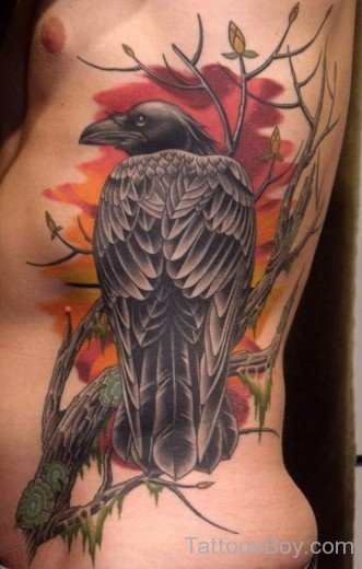 Crow Bird Tattoo On Rib-TB1042