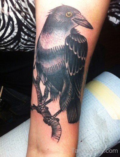 Crow Tattoo On Arm-TB1068