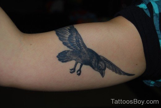 Crow Tattoo On Bicep-TB1072