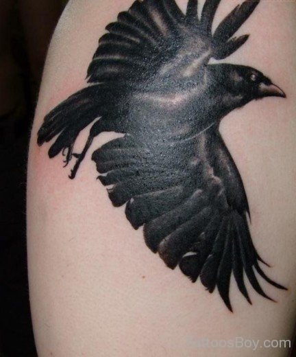Crow Tattoo-TB1083