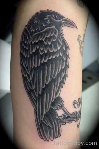 Crow Tattoo86-TB1085