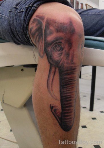 Elephant Face Tattoo-TB124