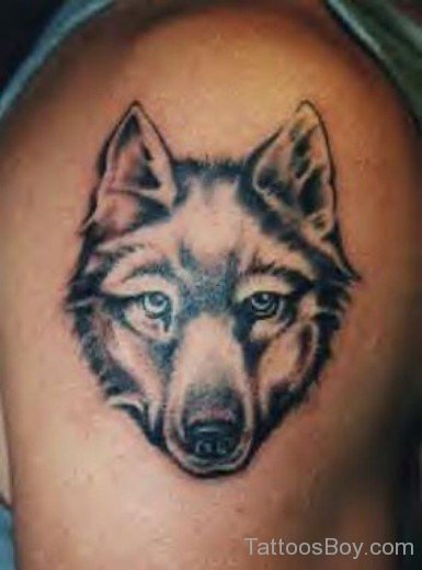 Fox Face Tattoo-TB139