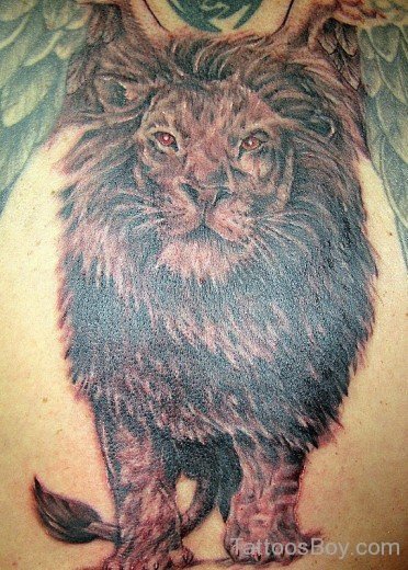 Lion Tattoo