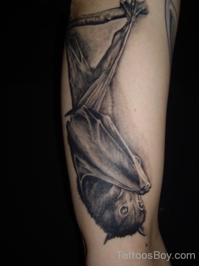 Nice  Bat Tattoo Design-TB1278