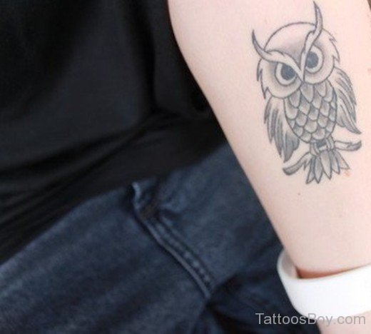 Owl Tatoo-TB12077