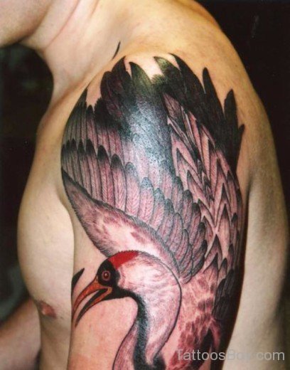 Peacock Tattoo-TB1118