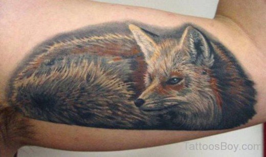 Realistic Fox Tattoo On Bicep-TB172