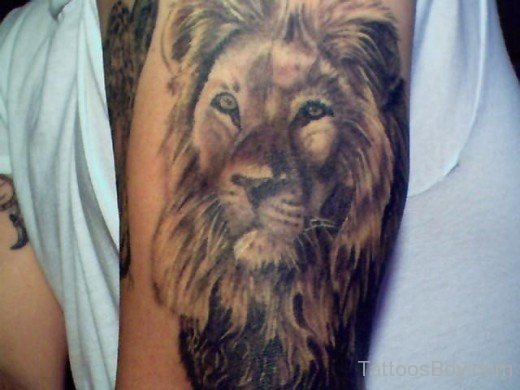 Realistic Lion Head Tattoo