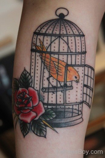 Red Rose And Bird Cage Tattoo-TB12087
