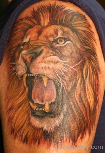Roaring Lion Tattoo On Shoulder-TB1083