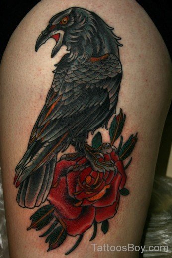 Rose And Crow Tattoo-TB1122