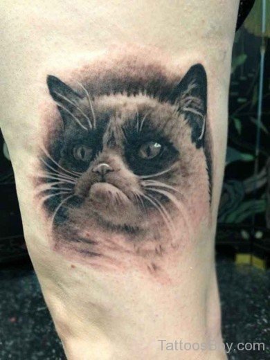 Sad Cat Tattoo On Shoulder