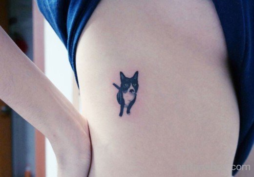 Small Cat Tattoo On Rib-TB12116