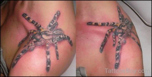 Spider Tattoo