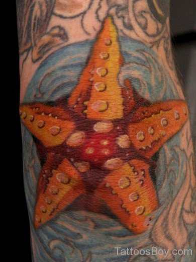 Starfish Tattoo-TB158