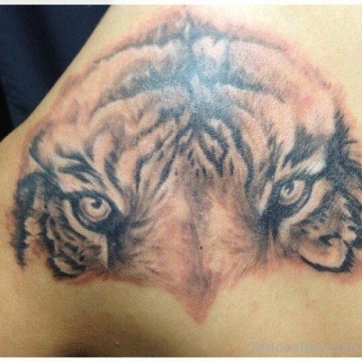 Tiger Eyes Tattoo-tb174