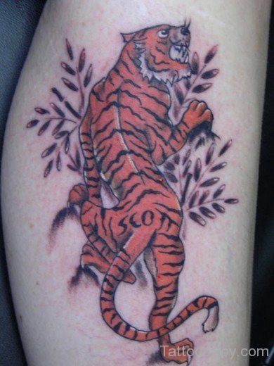 Tiger Tattoo 