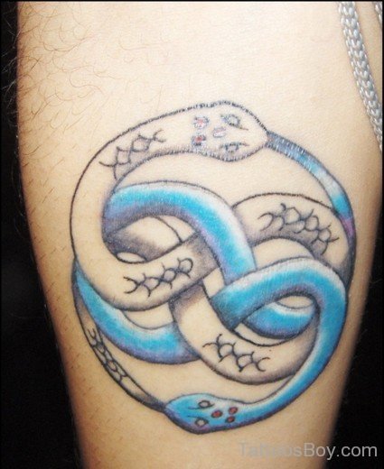 Amazing snake Tattoo-TB1002