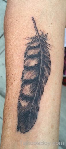 Awesome Feather Tattoo 5-TB1007