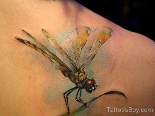 Beautidul Dragon Tattoo Design-Tb1209