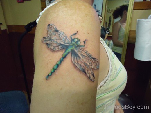 Beautiful Dragonfly Tattoo on Shoulder-Tb1211
