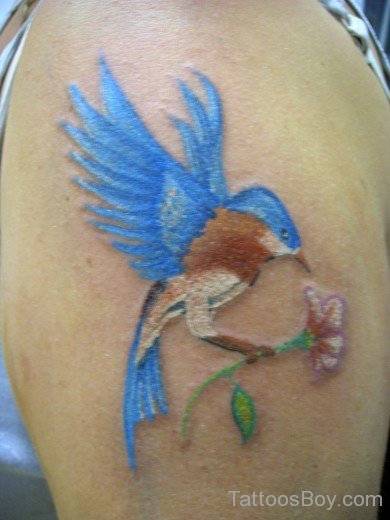 Best Hummingbird  Tattoo-TB1017