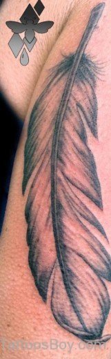 Black And Grey Feather Tattoo Design-TB1016