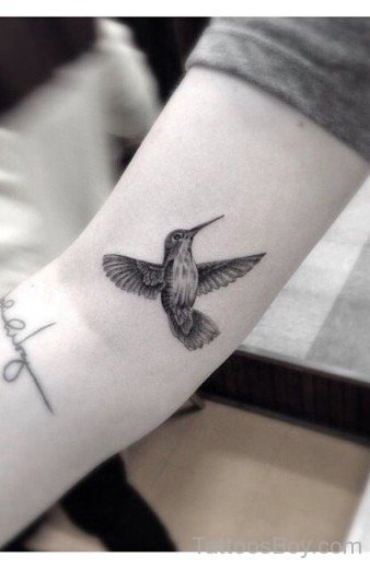 Black And grey Hummingbird Tattoo-TB1022