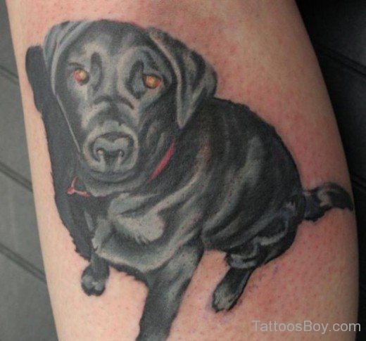 Black Dog Tattoo Design-TB1016