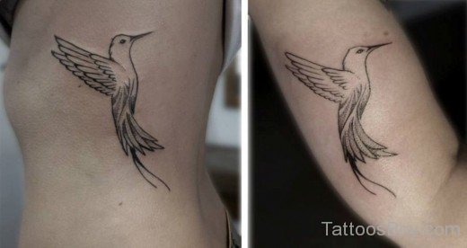Black Outline  Hummingbird Tattoo-TB1030
