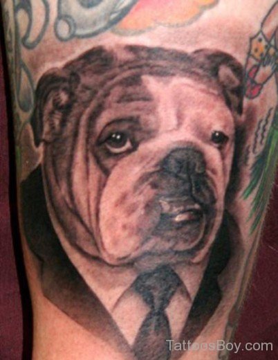 Bull Dog Tattoo-TB1024