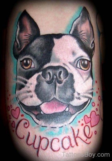 Bulldog tattoo-TB1025