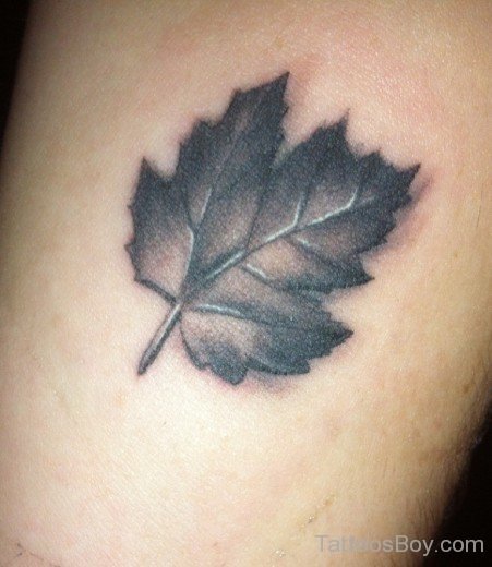 Canada Leaf Tattoo-Tb114