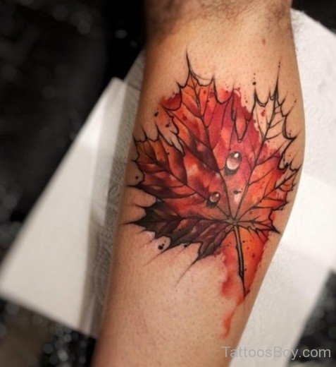 Canadian Maple Leaf Tattoo-Tb116