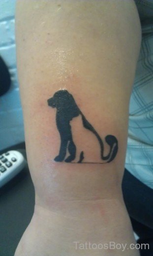  Cat And Dog Tattoo Design