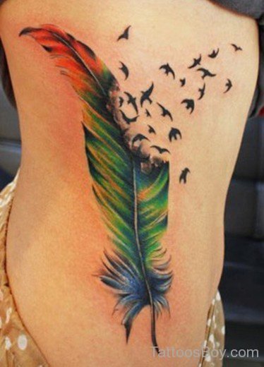 Coloful Feather Tattoo-TB1025