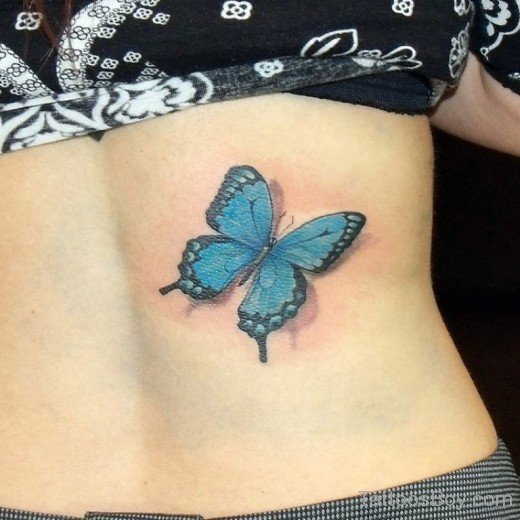 Colorful Butterfly Tattoo-TB127