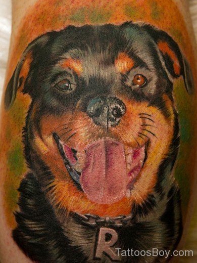 Colorful Dog Tattoo Design-TB1032