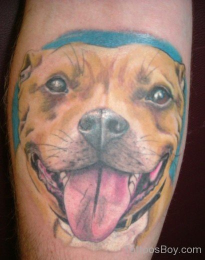 Colorful Dog Tattoo-TB1033